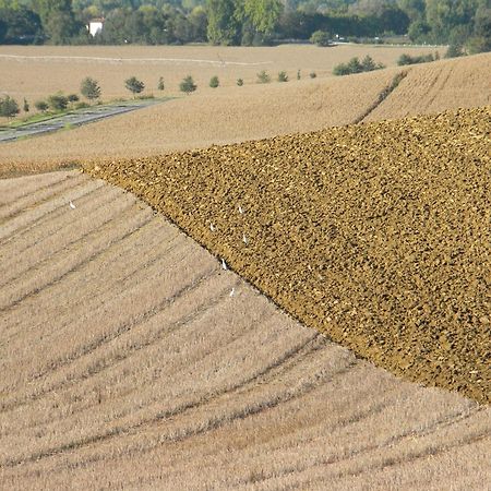 Chambres D'Hotes Le Loubet LʼIsle-Jourdain Zewnętrze zdjęcie