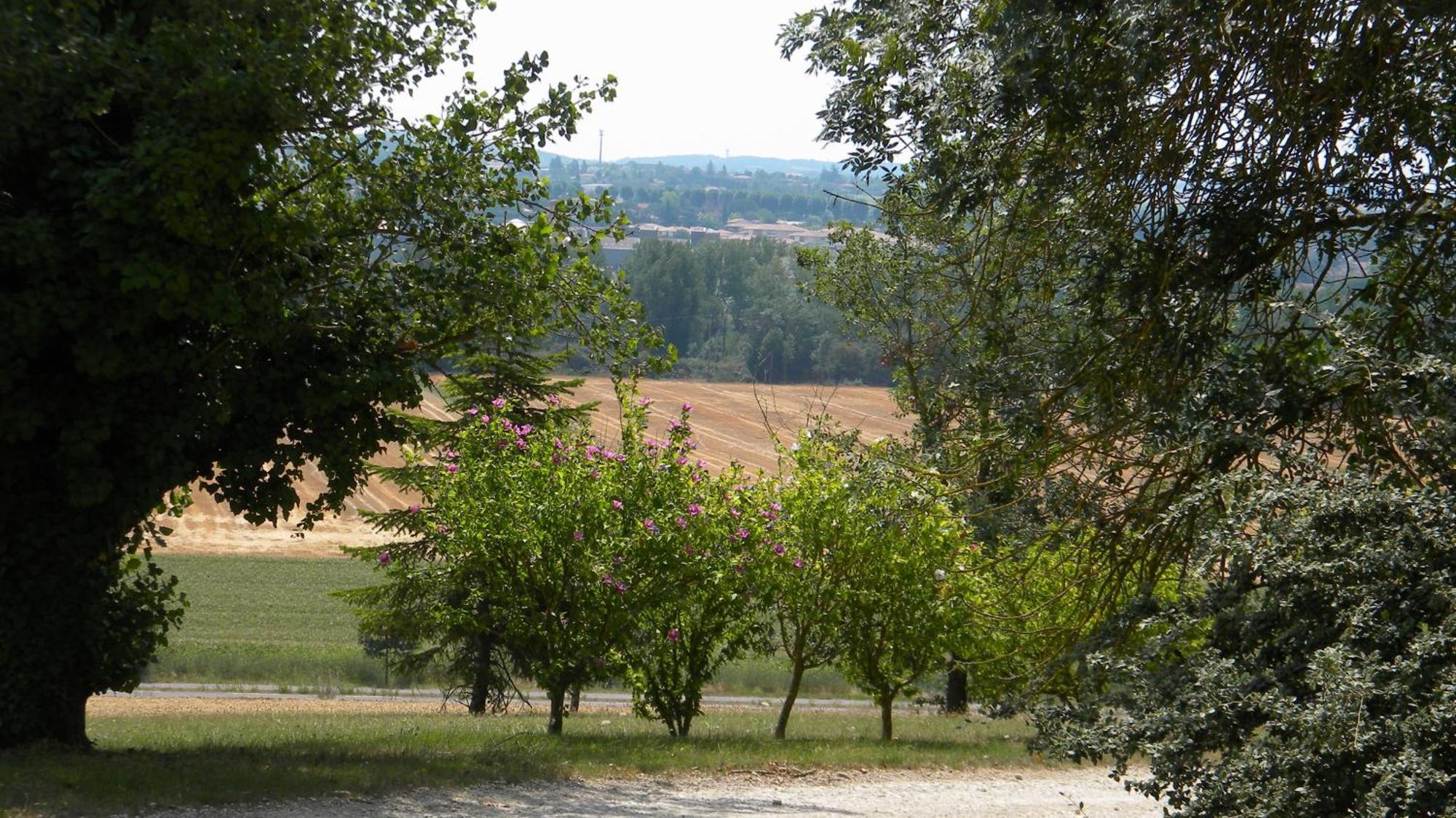 Chambres D'Hotes Le Loubet LʼIsle-Jourdain Zewnętrze zdjęcie